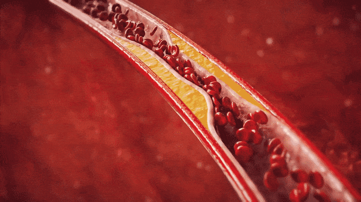 COD单页系统建站,联系QQ：494906791/微信：Cod_web